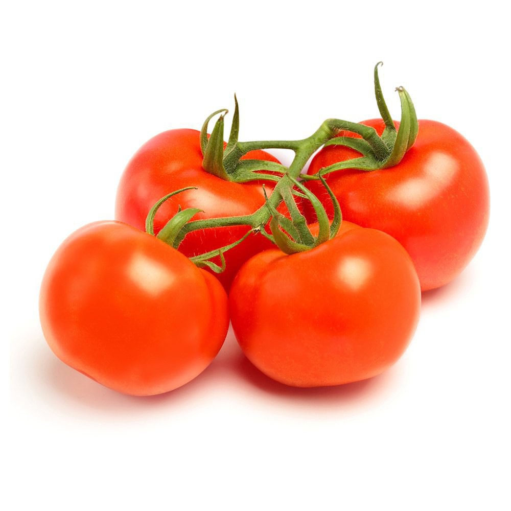 Cà Chua Việt Nam Cây Nhỏ