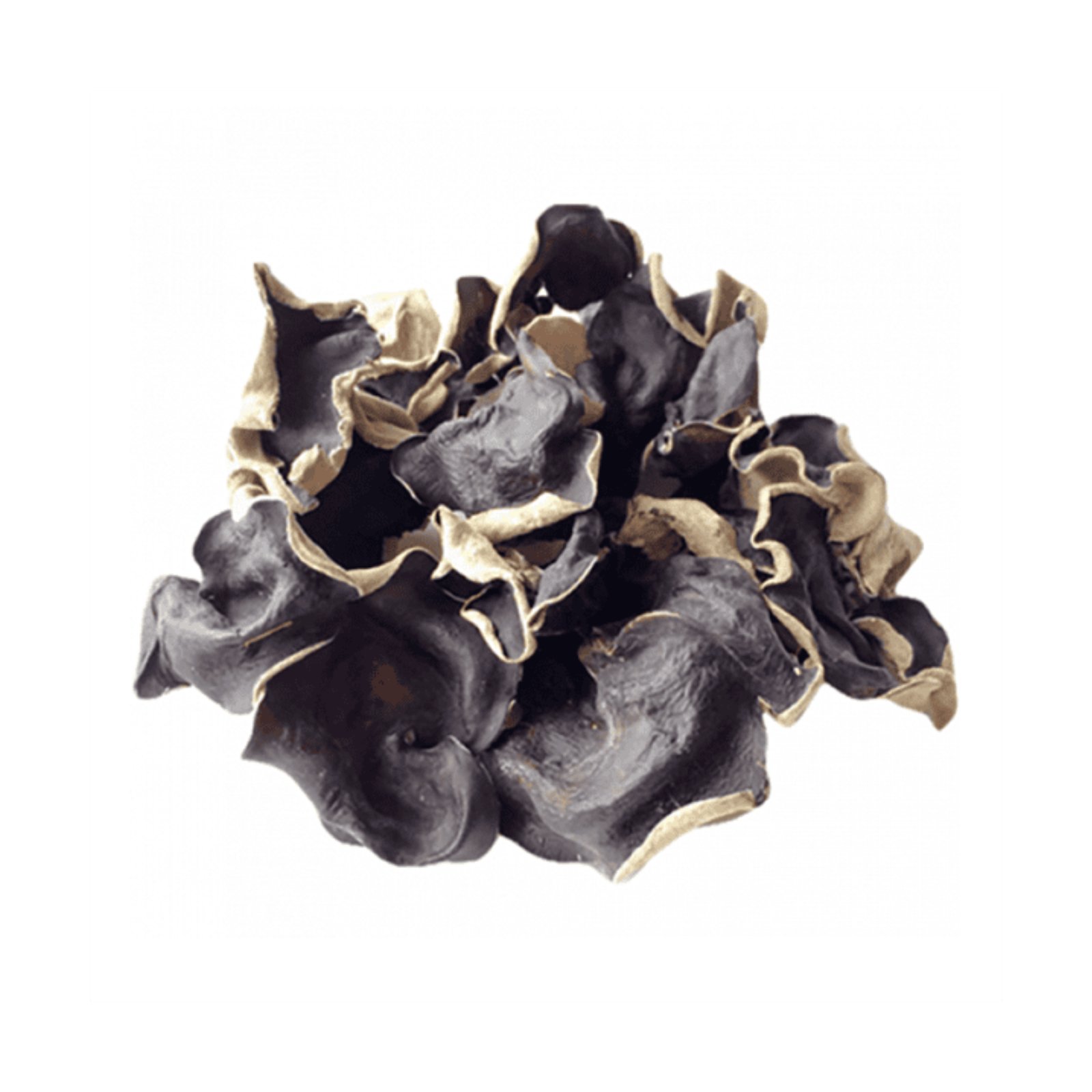 Mộc Nhĩ Phúc Kiến